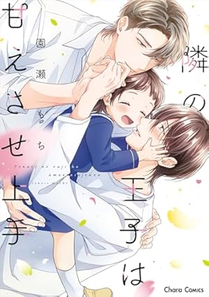 Γ 世尾せりな 『シークレット・セラピスト』 直筆サイン入り 複製原画 Γ 世尾せりな 『シークレット・セラピスト』 直筆サイン入り